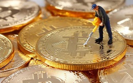 Nhà đầu tư liên tục đẩy giá Bitcoin lập kỷ lục, nhưng ai mới là người thực sự sở hữu đồng tiền này?