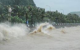 Tâm áp thấp nhiệt đới ngay trên bờ biển tỉnh Khánh Hòa