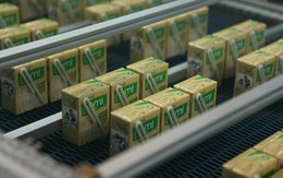 Đường Quảng Ngãi (QNS): Mảng sữa đậu nành Vinasoy tăng trưởng 10%, lãi ròng quý 3 tăng 49% so với cùng kỳ lên hơn 348 tỷ đồng