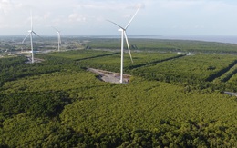 Fecon: Điện gió Quốc Vinh Sóc Trăng đã chính thức vận hành thương mại