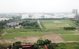 Hà Nội duyệt giá đất khu công viên công nghệ thông tin hơn 1.045 tỷ đồng