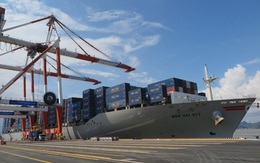 Khởi công 4 bến cảng container hơn 13.000 tỷ đồng tại Hải Phòng vào đầu năm 2022