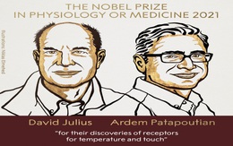 Giải Nobel Y học năm 2021 vinh danh hai nhà khoa học người Mỹ David Julius và Ardem Patapoutian