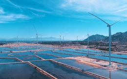 Quốc tế đưa tin về tổ hợp kinh tế muối và năng lượng tái tạo lớn nhất Việt Nam