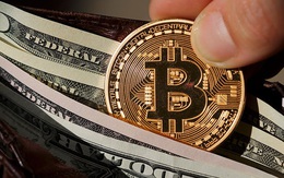 USD cao nhất 1 năm, Bitcoin vượt 50.000 USD, chứng khoán toàn cầu lao dốc