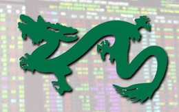 Quỹ tỷ đô do Dragon Capital quản lý nắm giữ tỷ trọng tiền mặt thấp nhất nhiều năm