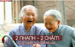 Người tuổi thọ cao thường có "2 nhanh, 2 chậm": Những ai duy trì lâu dài là tín hiệu đáng mừng cho sức khỏe