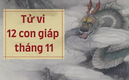 Tổng quan 12 con giáp tháng 11: Tuổi Thân có bước ngoặt mới, Tuất tiền bạc rủng rỉnh, riêng Thìn phải đặc biệt đề phòng