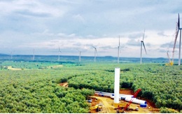 7/14 dự án điện gió ở Gia Lai kịp đấu nối hưởng giá mua điện ưu đãi