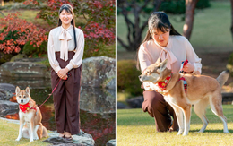Nàng công chúa cô đơn nhất Nhật Bản sắp làm lễ trưởng thành, đối mặt với áp lực của một "người thừa"