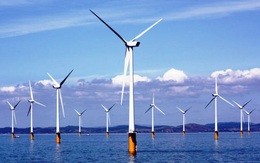 GWEC: 'Việt Nam sẽ trở thành trung tâm điện gió ngoài khơi mới tại châu Á'