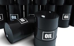 Giá dầu biến động mạnh và triển vọng thị trường giai đoạn cuối năm 2021