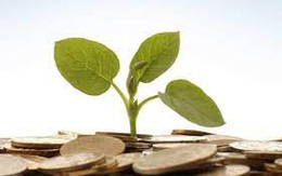 Địa ốc Sài Gòn (SGR) dự chi 90 tỷ đồng trả cổ tức link 789bet 2020