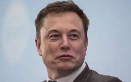 Elon Musk đã bán 5 tỷ USD cổ phiếu Tesla, nhưng có thực sự vì kết quả khảo sát trên Twitter?