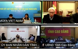 Vì sao nông sản Việt thụ động và phụ thuộc thị trường Trung Quốc?