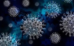 Phát hiện vũ khí chống lại tất cả virus corona, bao gồm SARS-CoV-2