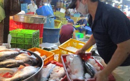 Xuất khẩu tôm hùm sang Trung Quốc giảm đến 82%