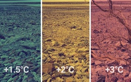 Trái đất sẽ thế nào nếu nóng thêm 1,5 độ C? 2 độ C?