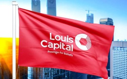 Ủy ban chứng khoán xử phạt Louis Capital