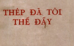 Cổ đông "thép đã tôi thế đấy" đứng bên ngoài nhìn vào "bữa tiệc phá đỉnh" của chứng khoán Việt