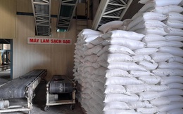 Một doanh nghiệp trúng thầu bán 15.000 tấn gạo tấm cho Hàn Quốc với giá 449 USD/tấn