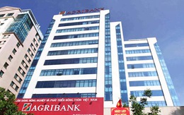 Agribank chào bán khoản nợ thế chấp bằng 30.000m2 đất tại Hải Dương