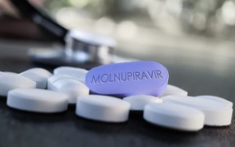Ca F0 tăng, TPHCM xin cấp thêm 100.000 liều thuốc Molnupiravir
