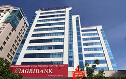 Agribank chào bán khoản nợ trăm tỷ thế chấp bằng 6 triệu cổ phần EVF