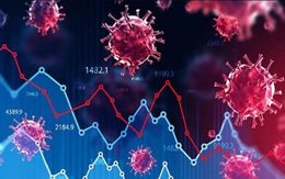 Niềm vui vượt đỉnh chưa được lâu, nhà đầu tư chứng khoán lại “thấp thỏm” vì biến chủng mới