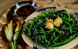 Thứ rau "rẻ bèo" này được Nhật Bản coi là "món ăn trường thọ" và chống lão hóa, người Việt có nhiều mà không biết để tận dụng