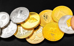 Đồng coin trùng tên với biến thể Omicron "vượt mặt" Bitcoin, tăng hơn 900% chỉ sau vài ngày