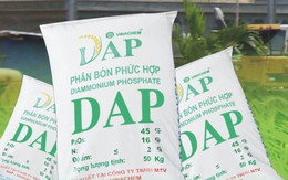Giá phân bón tăng mạnh, DAP Vinachem báo lãi 9 tháng đạt 159 tỷ đồng, vượt 133% kế hoạch năm