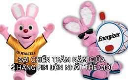 Duracell vs Energizer: Đại chiến trăm năm xoay quanh cục pin ‘con thỏ’, kiện nhau ra tòa cũng vì linh vật màu hồng