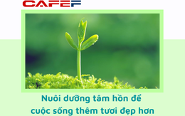 Người đức độ càng thân càng thoải mái, kẻ gian tà càng hiểu càng muốn tránh xa: 3 thói quen nhỏ mỗi ngày hình thành khí chất và 4 điều quyết định tầm cao của một người ai cũng muốn gắn kết