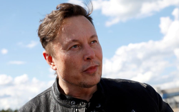 Cổ phiếu Tesla trượt giá sau khi cư dân mạng đồng tình về việc Elon Musk bán 10% cổ phần