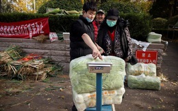 Bắp cải ‘cháy hàng’, giá tăng gấp 3 lần vẫn đắt khách ở Trung Quốc