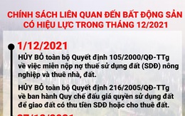 Từ 1/12 nhiều chính sách liên quan đến nhà, đất có hiệu lực