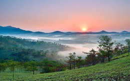 Diễn biến mới nhất về khu đô thị quy mô 189ha tại Đà Lạt do Ecopark tài trợ quy hoạch