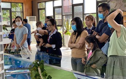 Sau giãn cách, căn hộ Tp.HCM tiêu thụ tăng gấp 6 lần