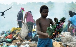 Cậu bé nghèo đổi đời nhờ bức ảnh nhặt được cây thông Noel ở bãi rác