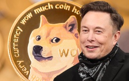 Elon Musk thông báo thử nghiệm mua hàng bằng Doge Coin