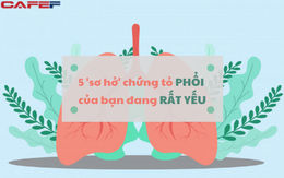5 bất thường tưởng không liên quan nhưng là dấu hiệu phổi đang SUY YẾU: 4 lưu ý để dưỡng phổi tốt, sinh khí lưu thông, kéo dài tuổi thọ