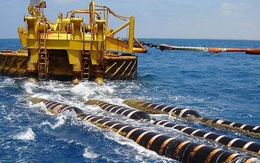 Việt Nam chuyển đổi số với... cáp quang biển đứt 10 lần mỗi năm