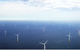 Phát triển điện gió cần khung chính sách ổn định và lâu dài