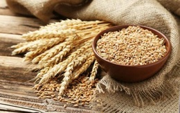 Việt Nam chi 1,3 tỷ USD mua lúa mì trong 11 tháng, gần gấp đôi cùng kỳ