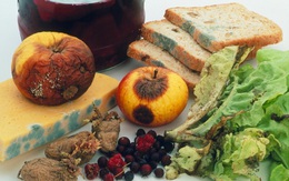 4 thực phẩm nhà nào cũng có đang ngầm gây hại cho tế bào gan, đặc biệt là món đầu tiên