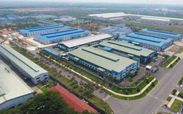 Sonadezi Giang Điền đưa gần 55 triệu cổ phiếu lên giao dịch trên sàn Upcom từ cuối tháng 12