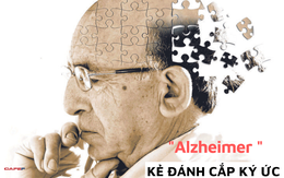 “Nguồn gốc” của bệnh Alzheimer đã được phát hiện và những “thói quen tốt” được cho là giúp giữ gìn sức khỏe này cần được loại bỏ ngay lập tức!
