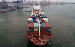 Giá cước phân hóa, triển vọng doanh nghiệp vận tải biển như thế nào trong năm 2022?