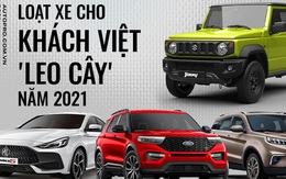 Loạt ô tô đáng lẽ người Việt được mua trong năm 2021: Ford Territory và Suzuki Jimny biệt tăm, MG5 giá hơn 400 triệu đồng vẫn chưa thể ra mắt